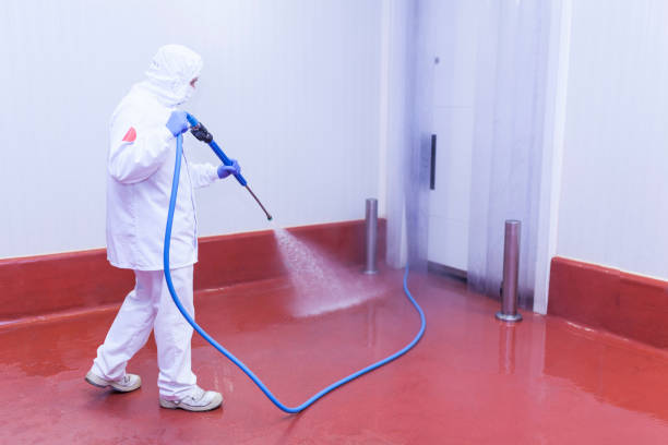 Best Sidewalk and Walkway Cleaning  in West Falls Church, VA